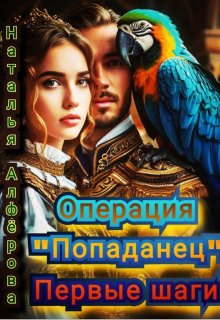 Операция "Попаданец". Первые шаги