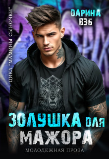 Золушка для мажора