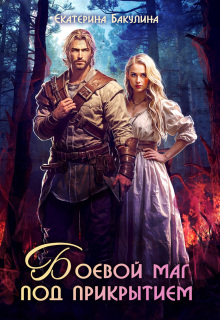 Боевой маг под прикрытием