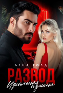 Развод. Идеальная измена