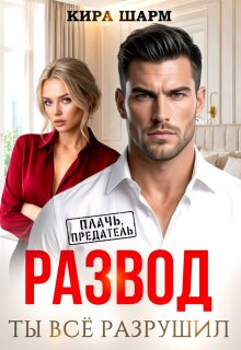 Развод. Ты все разрушил